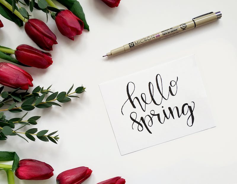 Spring Collection
